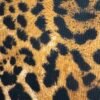 Straples animal print